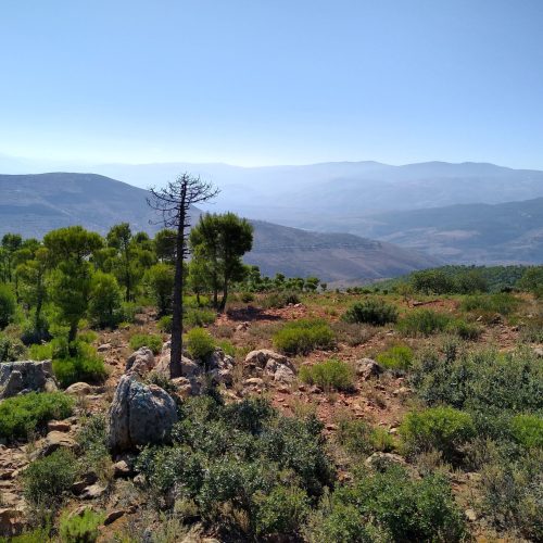 IMG_20210924_101853040_HDR